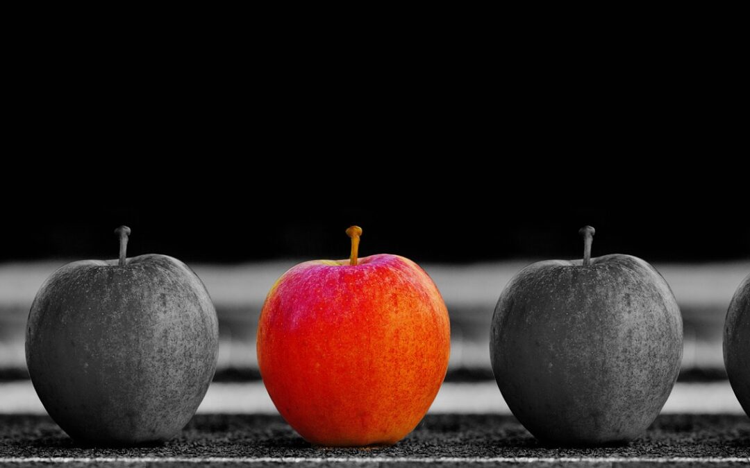 Features or Solutions: Listen to Your Audience